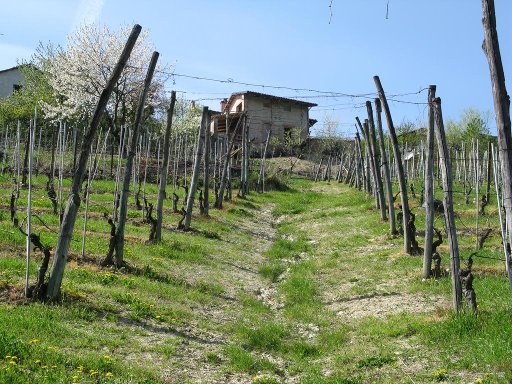 B&B Acaso Serralunga d'Alba Exterior photo
